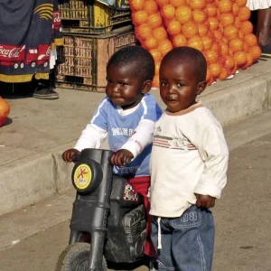 Explore Best of South Africa (Road Trip) Johannesburg - Cape Town for 14 days with DERTOUR and discover unforgettable experiences - Photo 7