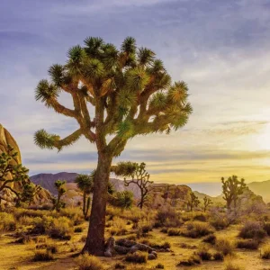 Explore Taste of California for 15 days with DERTOUR and discover unforgettable experiences - Photo 10