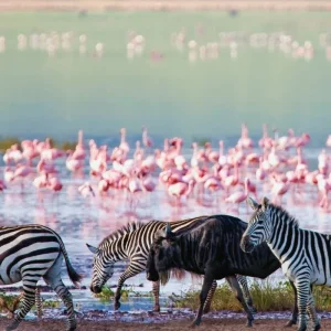 Explore Adventure Tanzania (private tour) for 6 days with DERTOUR and discover unforgettable experiences - Photo 2