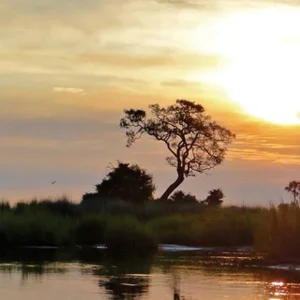 Explore At the pulse of nature for 14 days with DERTOUR and discover unforgettable experiences - Photo 2