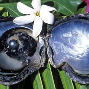 Explore French Polynesia at its most beautiful for 10 days with DERTOUR and discover unforgettable experiences - Photo 8