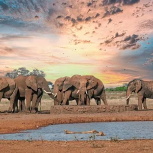 Explore Tanzania Pure for 6 days with DERTOUR and discover unforgettable experiences - Photo 3