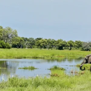 Explore At the pulse of nature for 14 days with DERTOUR and discover unforgettable experiences - Photo 3