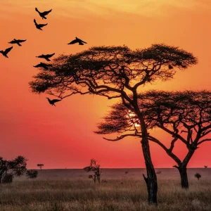 Explore Adventure Tanzania (private tour) for 6 days with DERTOUR and discover unforgettable experiences - Photo 5