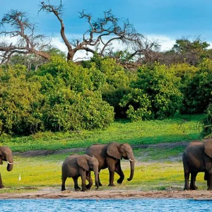 Explore At the pulse of nature for 14 days with DERTOUR and discover unforgettable experiences - Photo 5