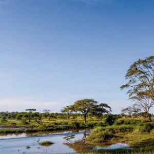 Explore Tanzania Pure for 6 days with DERTOUR and discover unforgettable experiences - Photo 7