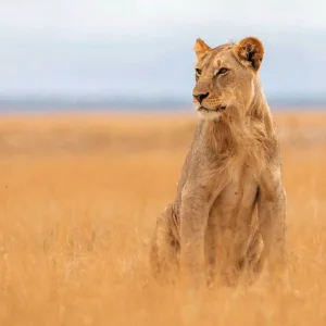 Explore Adventure Tanzania (private tour) for 6 days with DERTOUR and discover unforgettable experiences - Photo 7