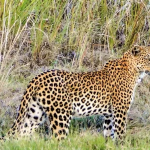 Explore Namibia & Botswana on your own for 15 days with DERTOUR and discover unforgettable experiences - Photo 5