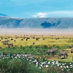 Explore Tanzania Pure for 6 days with DERTOUR and discover unforgettable experiences - Photo 8