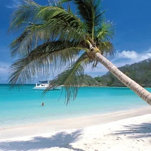 Explore Natural wonders of the Caribbean for 8 days with DERTOUR and discover unforgettable experiences - Photo 9