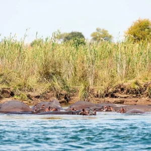 Explore At the pulse of nature for 14 days with DERTOUR and discover unforgettable experiences - Photo 8