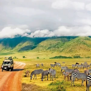Explore Tanzania Pure for 6 days with DERTOUR and discover unforgettable experiences - Photo 9