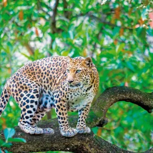 Explore Namibia & Botswana on your own for 15 days with DERTOUR and discover unforgettable experiences - Photo 7