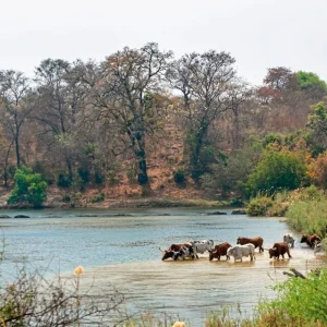 Explore At the pulse of nature for 14 days with DERTOUR and discover unforgettable experiences - Photo 10