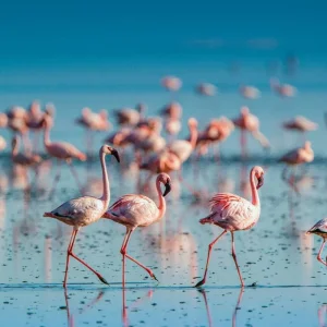 Explore Adventure Tanzania (private tour) for 6 days with DERTOUR and discover unforgettable experiences - Photo 11