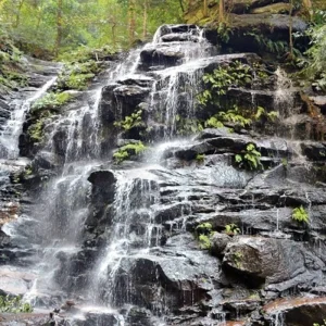 Explore Around Sydney - mountains, wine & sea for 6 days with DERTOUR and discover unforgettable experiences - Photo 9