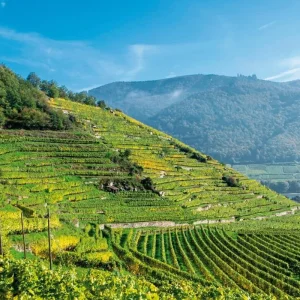 Explore Danube Cycle Path - The cycling classic for 8 days with DERTOUR and discover unforgettable experiences - Photo 5