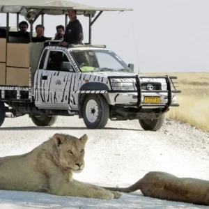 Explore Excursion package Etosha National Park for 4 days with DERTOUR and discover unforgettable experiences - Photo 4