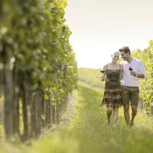 Explore Danube Cycle Path - The cycling classic for 8 days with DERTOUR and discover unforgettable experiences - Photo 7