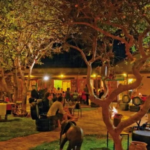 Explore Excursion package Etosha National Park for 4 days with DERTOUR and discover unforgettable experiences - Photo 5