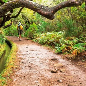 Explore Madeira individually - the Levada Trek for 8 days with DERTOUR and discover unforgettable experiences - Photo 5