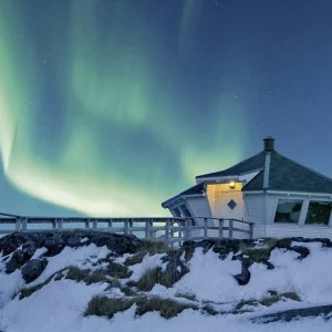Explore Wildlife, northern lights and the natural paradise of Senja for 7 days with DERTOUR and discover unforgettable experiences - Photo 4