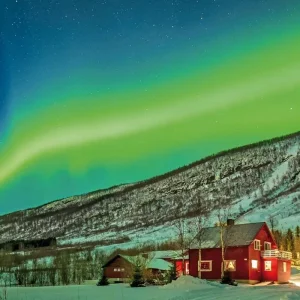 Explore Wildlife, northern lights and the natural paradise of Senja for 7 days with DERTOUR and discover unforgettable experiences - Photo 5