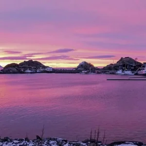 Explore Wildlife, northern lights and the natural paradise of Senja for 7 days with DERTOUR and discover unforgettable experiences - Photo 8