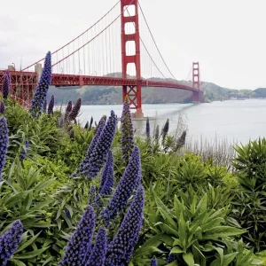 Explore Wild coast & majestic forests for 16 days with DERTOUR and discover unforgettable experiences - Photo 2