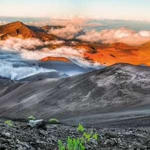 Explore Island dreams (12 nights) for 13 days with DERTOUR and discover unforgettable experiences - Photo 11