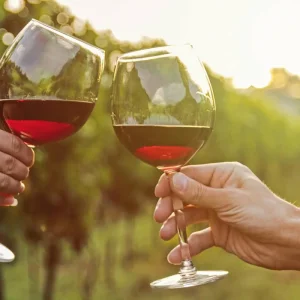 Explore Discover California on a small group tour for 9 days with DERTOUR and discover unforgettable experiences - Photo 6