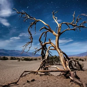 Explore Discover California on a small group tour for 9 days with DERTOUR and discover unforgettable experiences - Photo 11