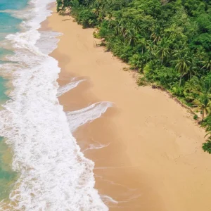 Explore Caribbean island dreams: Bocas del Toro for 3 days with DERTOUR and discover unforgettable experiences - Photo 3