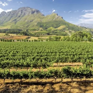 Explore Best of South Africa (Private Tour) Johannesburg - Cape Town for 14 days with DERTOUR and discover unforgettable experiences - Photo 10