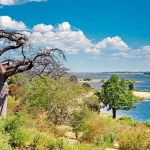 Explore Victoria Falls & Safari Adventure from Victoria Falls/to Kasane for 7 days with DERTOUR and discover unforgettable experiences - Photo 10