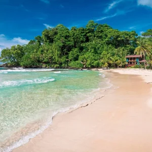 Explore Caribbean island dreams: Bocas del Toro for 3 days with DERTOUR and discover unforgettable experiences - Photo 5