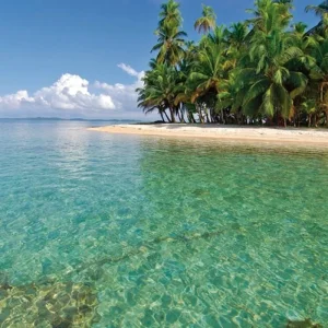 Explore Caribbean island dreams: Bocas del Toro for 3 days with DERTOUR and discover unforgettable experiences - Photo 9