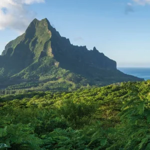 Explore Get to know Tahiti & its islands for 8 days with DERTOUR and discover unforgettable experiences - Photo 6