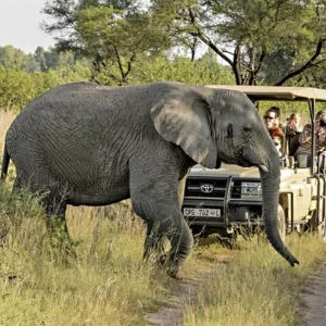 Explore South Africa to stay (Johannesburg-Cape Town) for 20 days with DERTOUR and discover unforgettable experiences - Photo 8