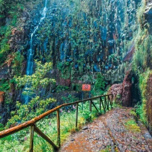 Explore The best sides of Madeira for 8 days with DERTOUR and discover unforgettable experiences - Photo 2