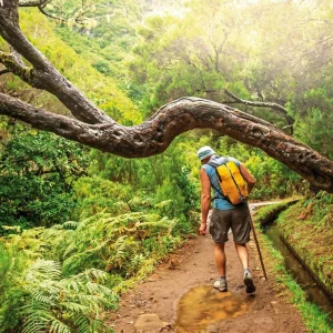 Explore The best sides of Madeira for 8 days with DERTOUR and discover unforgettable experiences - Photo 3