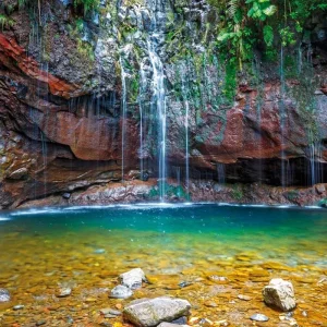 Explore The best sides of Madeira for 8 days with DERTOUR and discover unforgettable experiences - Photo 4