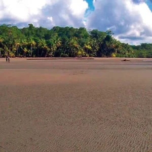 Explore Corcovado National Park for 3 days with DERTOUR and discover unforgettable experiences - Photo 3