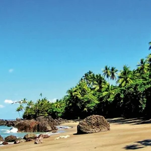 Explore Corcovado National Park for 3 days with DERTOUR and discover unforgettable experiences - Photo 4