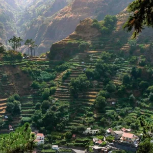 Explore The best sides of Madeira for 8 days with DERTOUR and discover unforgettable experiences - Photo 7