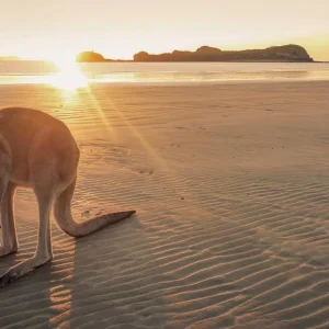 Explore Fascination of the South (18 nights, Sydney-Adelaide) for 19 days with DERTOUR and discover unforgettable experiences - Photo 5