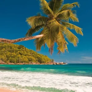 Explore Island Hopping Seychelles - Fascinating Archipelago (Gastehauser, 10 nights) for 11 days with DERTOUR and discover unforgettable experiences - Photo 10