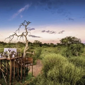 Explore Nature, bush and beach deluxe for 11 days with DERTOUR and discover unforgettable experiences - Photo 4