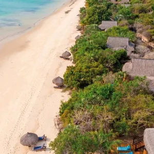 Explore Nature, bush and beach deluxe for 11 days with DERTOUR and discover unforgettable experiences - Photo 6