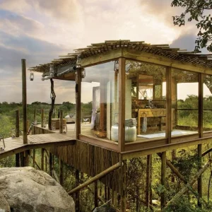 Explore Nature, bush and beach deluxe for 11 days with DERTOUR and discover unforgettable experiences - Photo 7